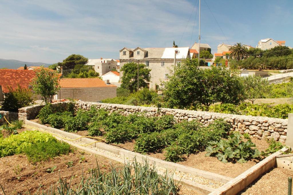 Apartments Nejasmic - Little House For Peaceful And Domestic Vacation Bol Exterior foto